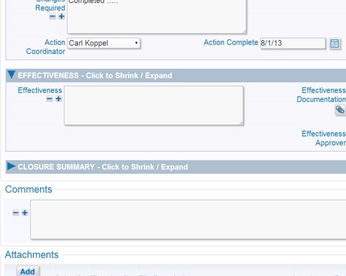 Review Summary or Detail